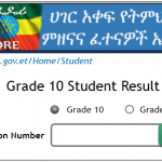 NEAEA Grade 10 Result 2022