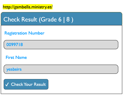 How to check Gambella Ministry Result 2025? Gambella.ministry.et